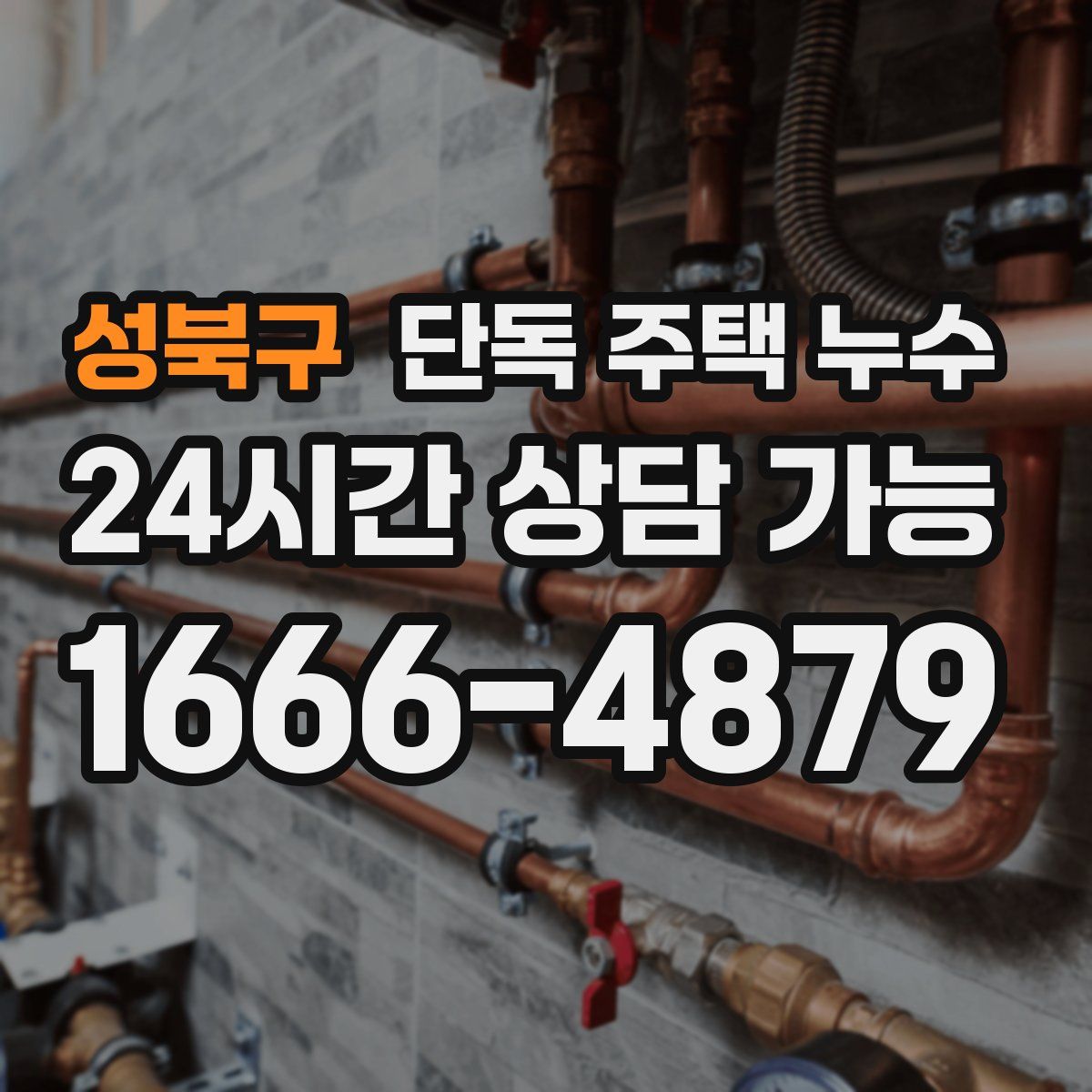 성북구 단독 주택 누수