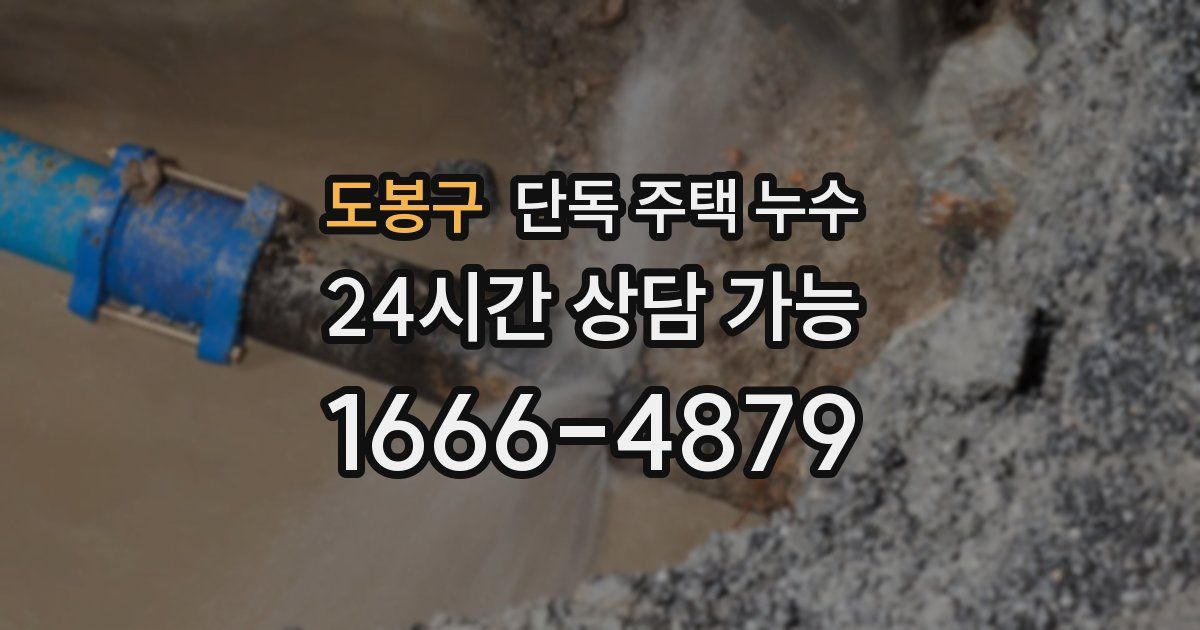 도봉구 단독 주택 누수