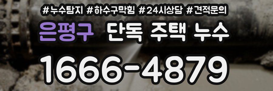 은평구 단독 주택 누수