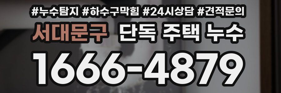 서대문구 단독 주택 누수