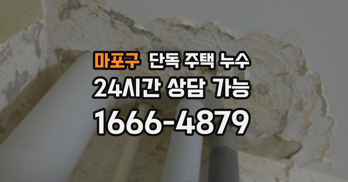 마포구 단독 주택 누수