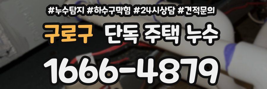 구로구 단독 주택 누수