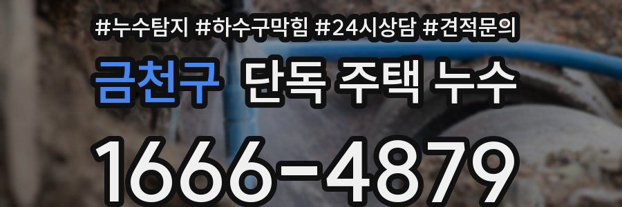 금천구 단독 주택 누수