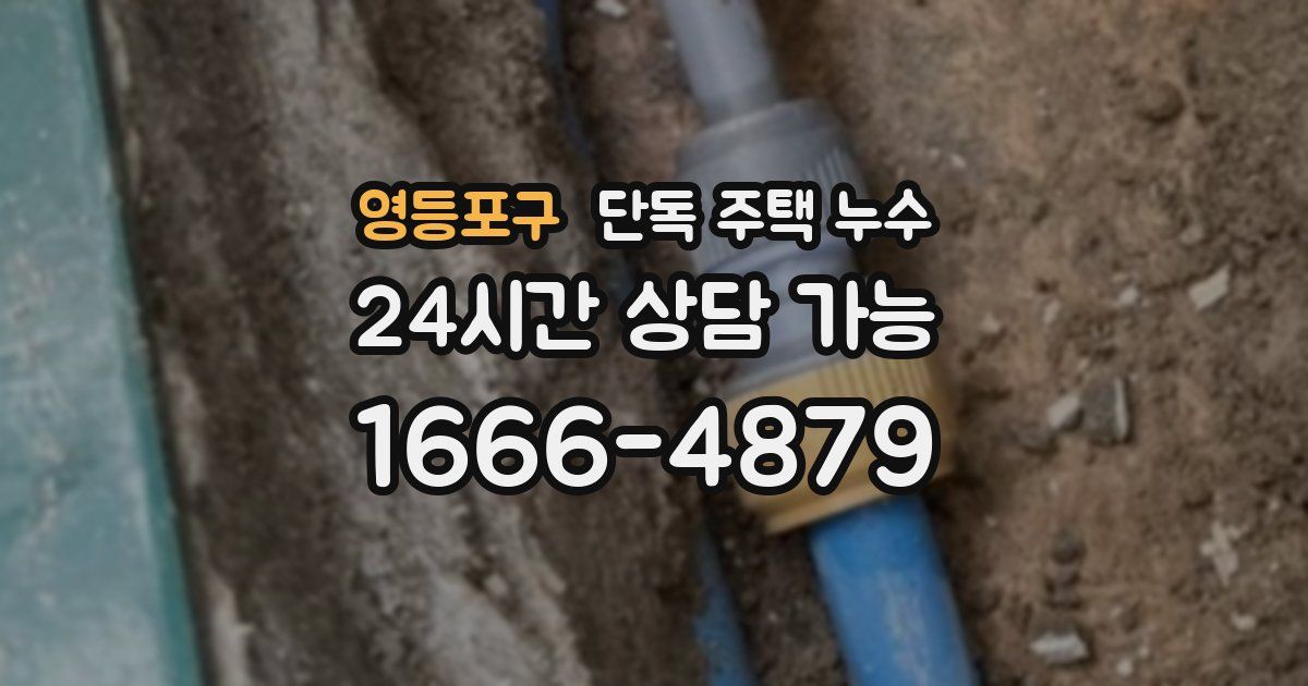 영등포구 단독 주택 누수