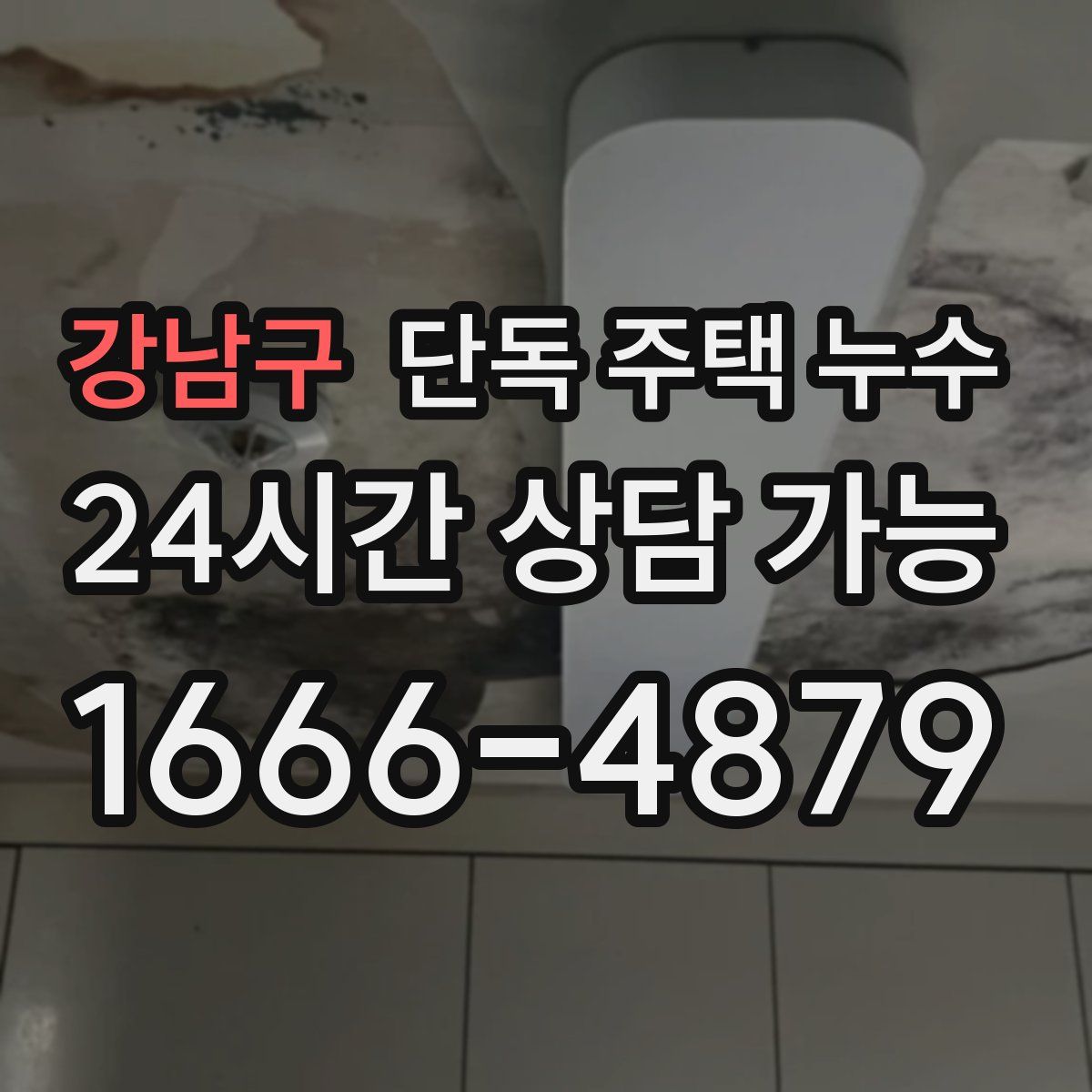 강남구 단독 주택 누수