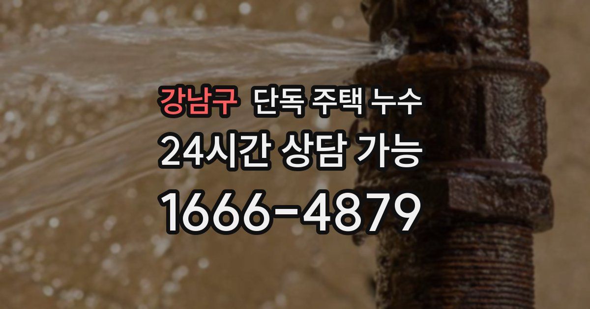 강남구 단독 주택 누수