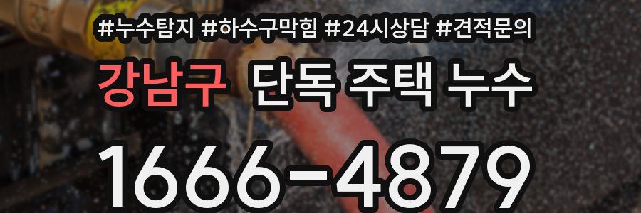 강남구 단독 주택 누수