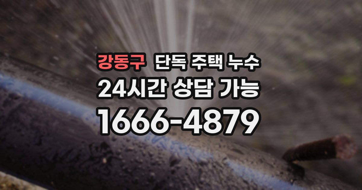 강동구 단독 주택 누수