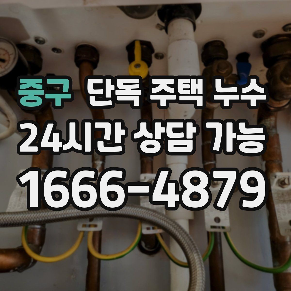 중구 단독 주택 누수 바람 동반 비에 취약한 부위 정리