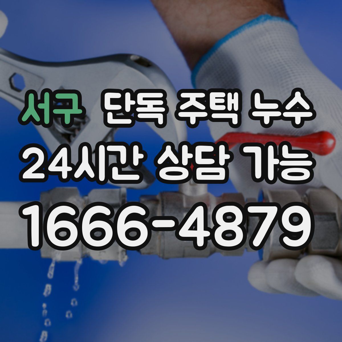 서구 단독 주택 누수