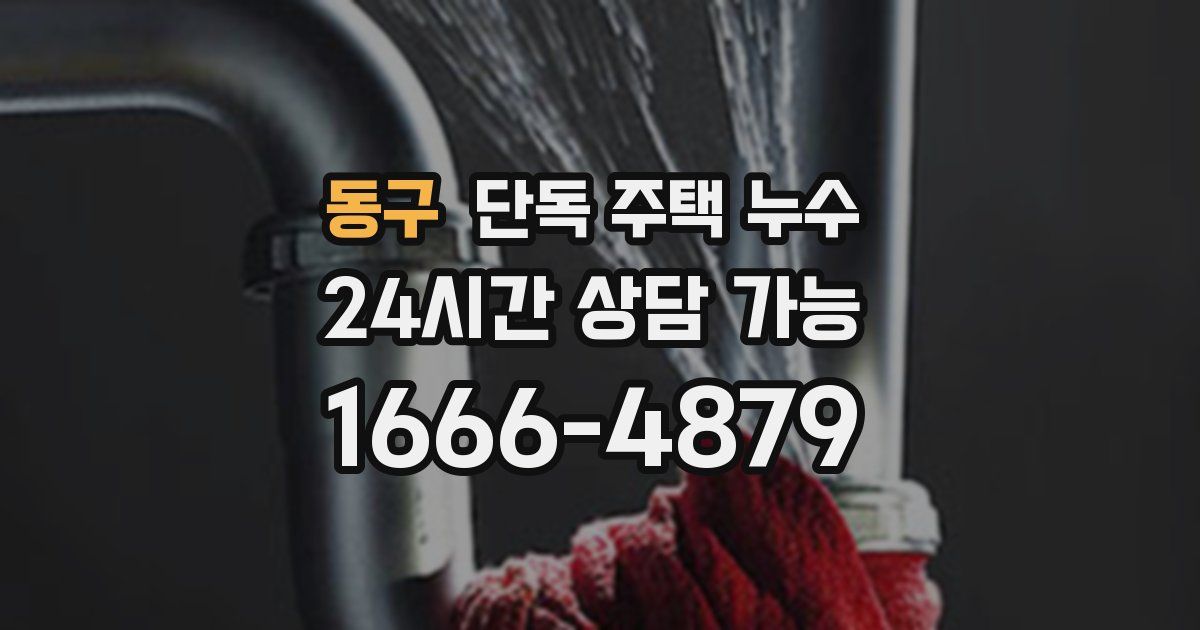 동구 단독 주택 누수