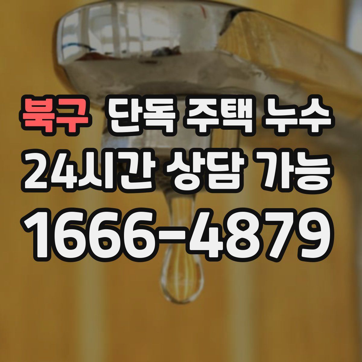 북구 단독 주택 누수