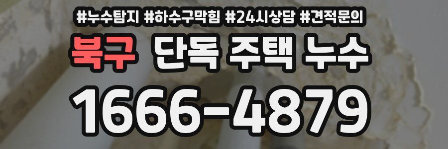 북구 단독 주택 누수