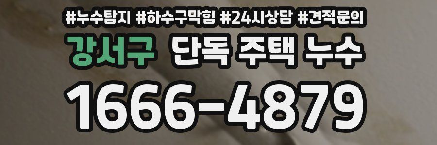 강서구 단독 주택 누수