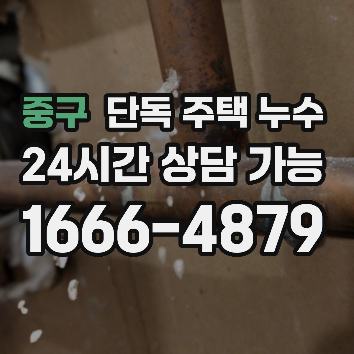 중구 단독 주택 누수 밤사이 갑자기 천장이 젖는 경우