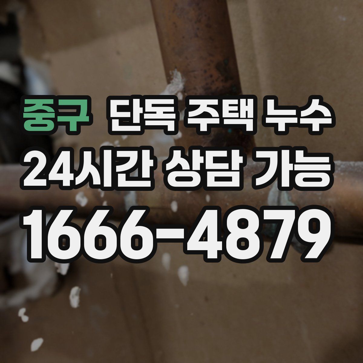 중구 단독 주택 누수