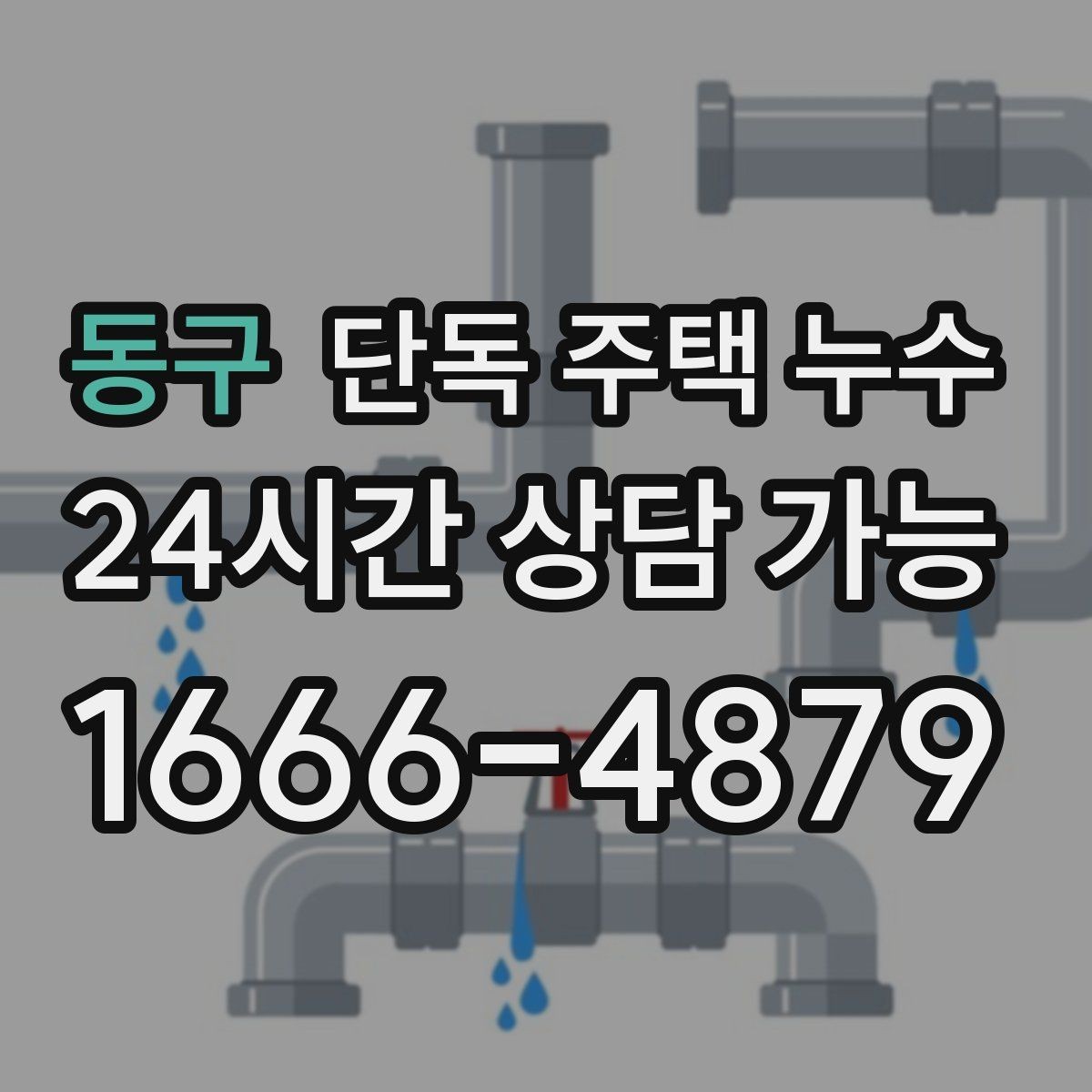 동구 단독 주택 누수 장판 아래 곰팡이 생겼다면 무엇을 의심할까