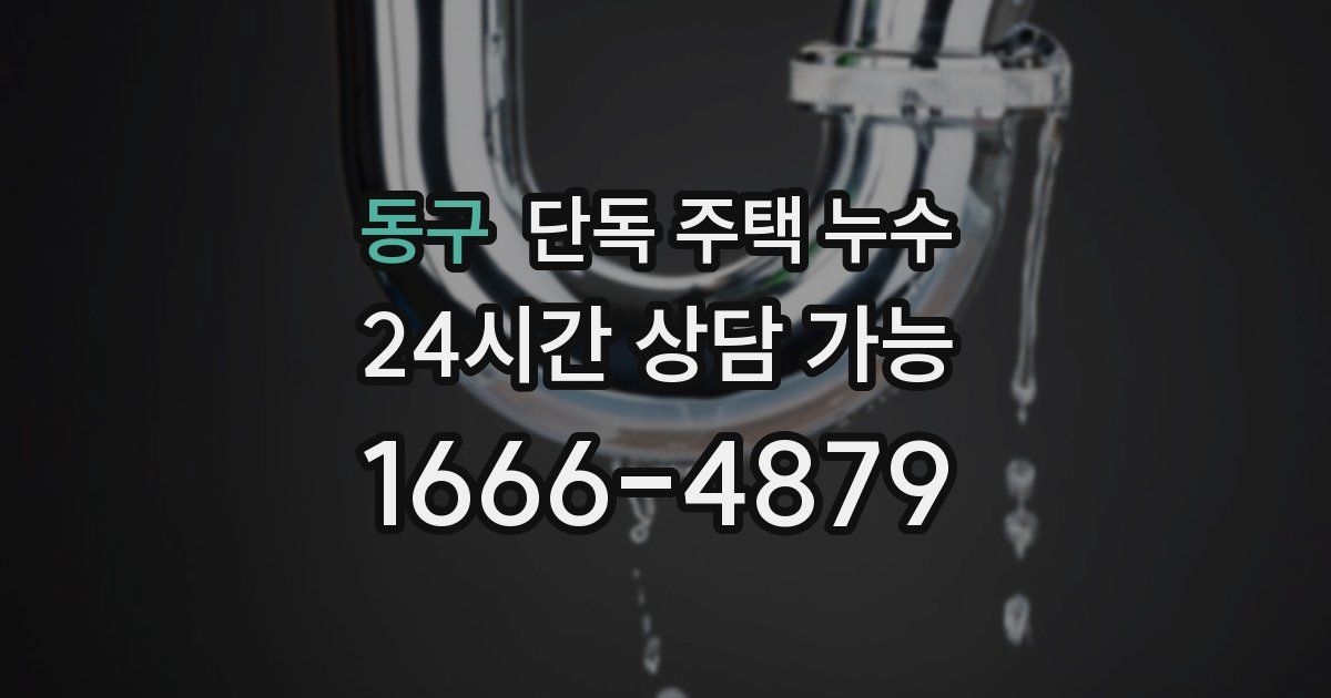 동구 단독 주택 누수