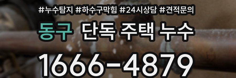 동구 단독 주택 누수