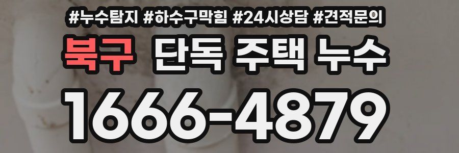 북구 단독 주택 누수