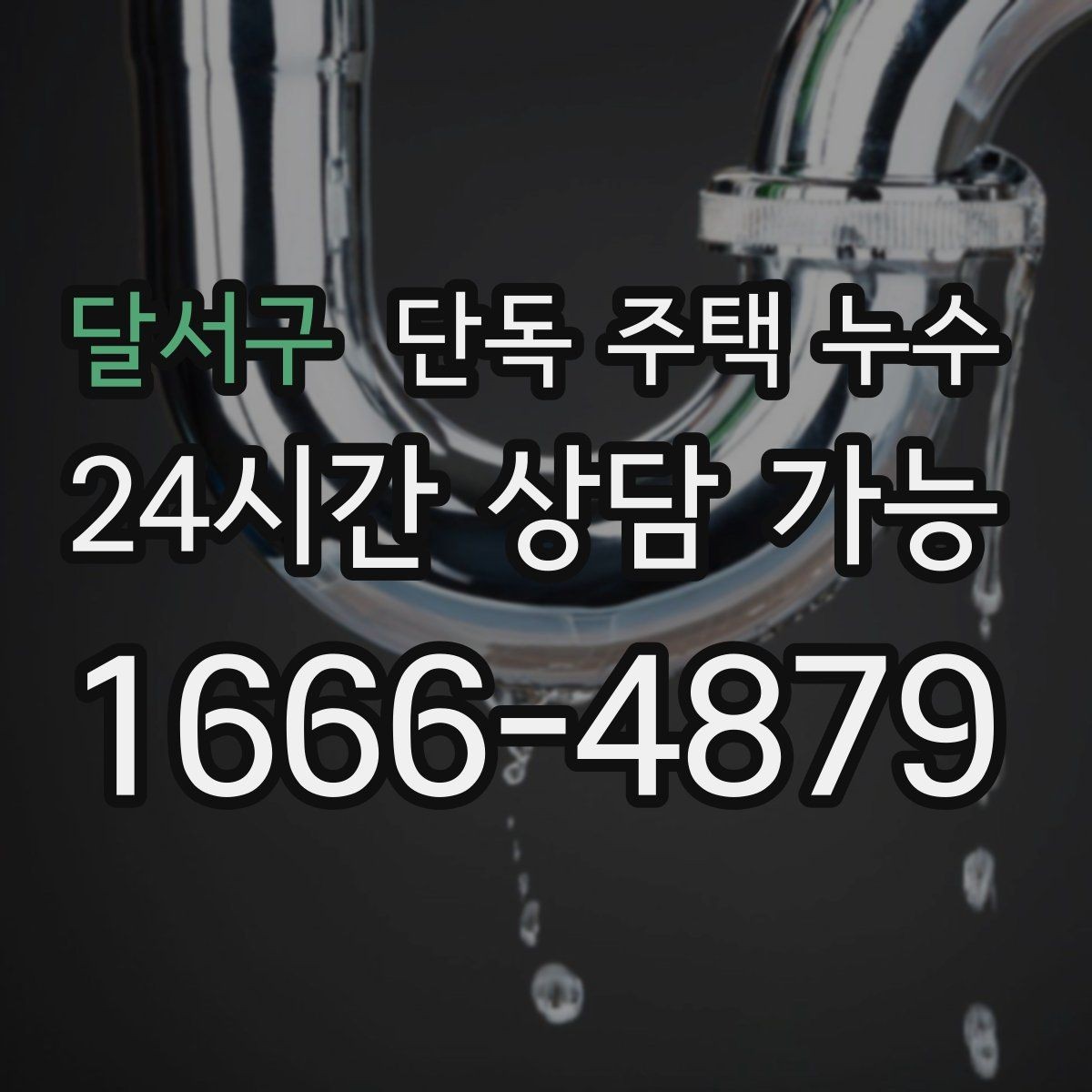 달서구 단독 주택 누수 장판 아래 물기가 빠지지 않을 때