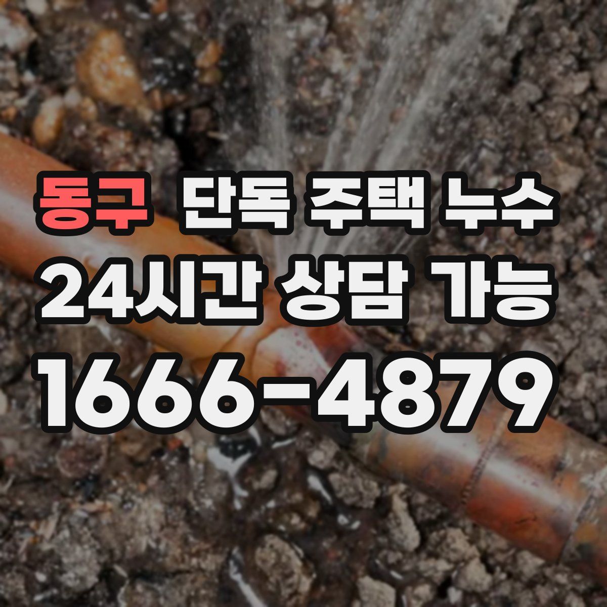 동구 단독 주택 누수