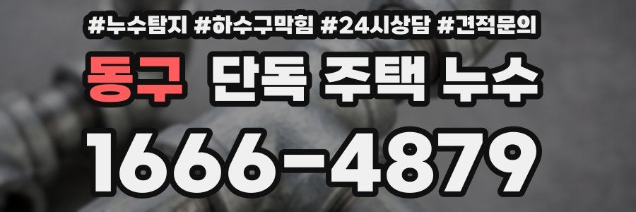 동구 단독 주택 누수