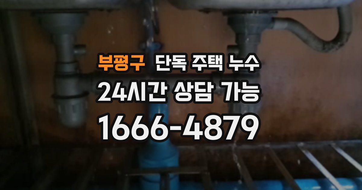 부평구 단독 주택 누수