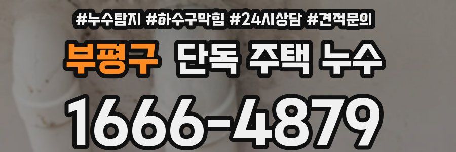 부평구 단독 주택 누수
