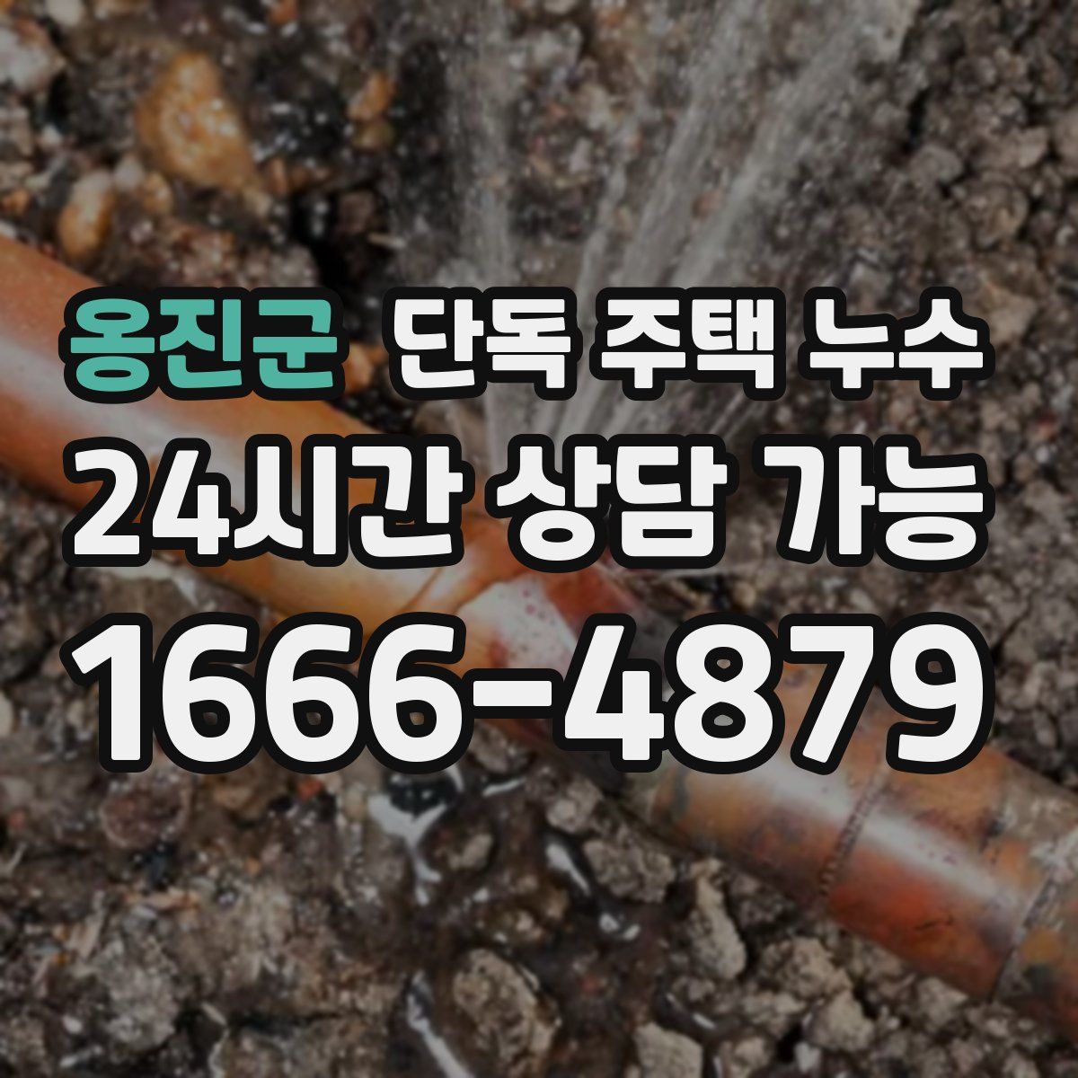 옹진군 단독 주택 누수