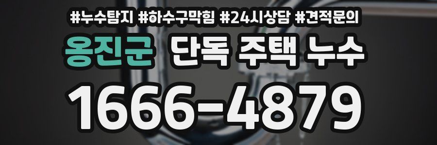 옹진군 단독 주택 누수