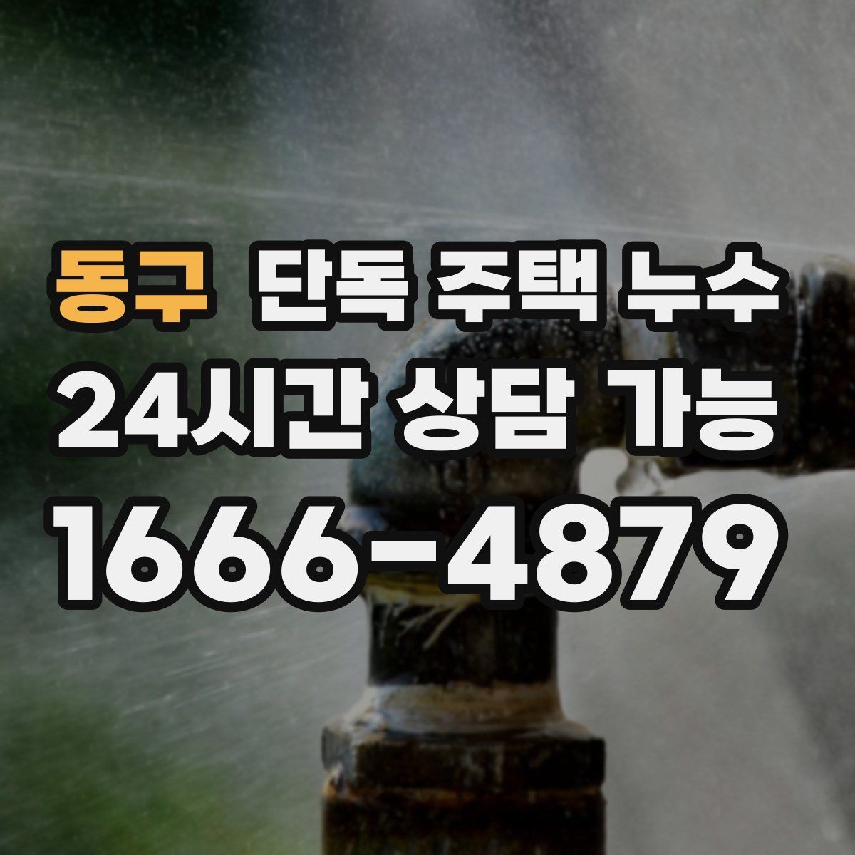 동구 단독 주택 누수 마당 배수로 정비가 중요한 이유