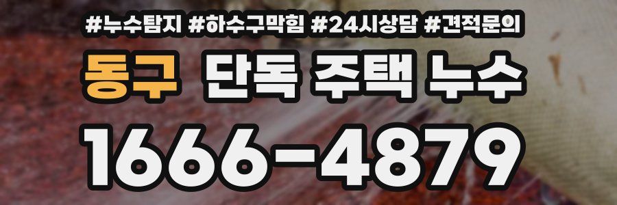 동구 단독 주택 누수