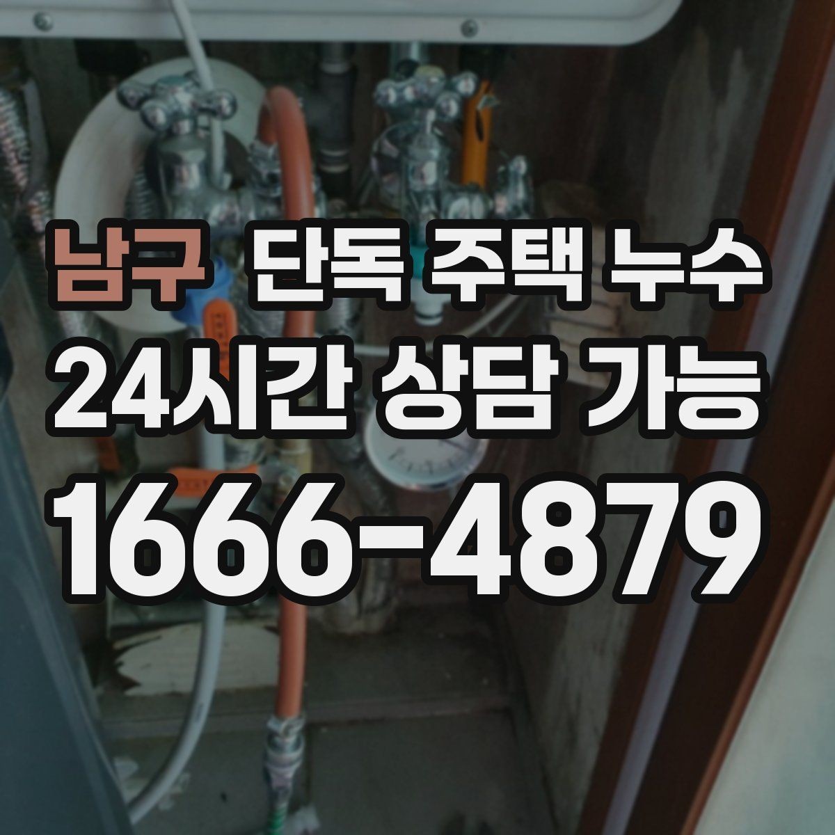남구 단독 주택 누수 다용도실 배수 주변 곰팡이 반복될 때