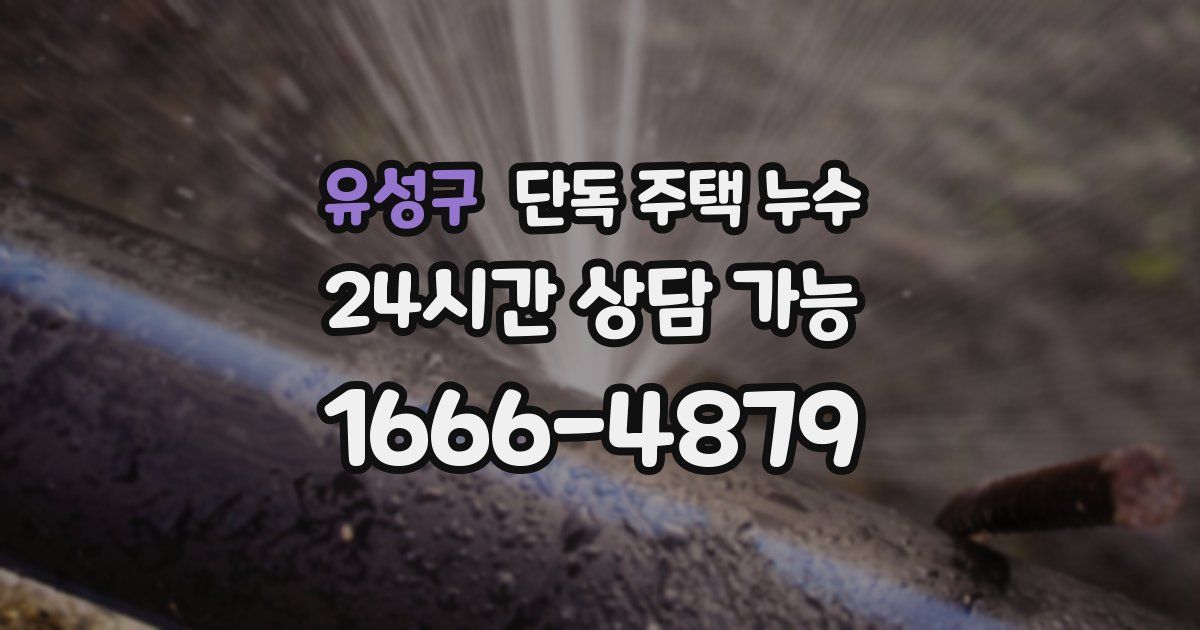 유성구 단독 주택 누수