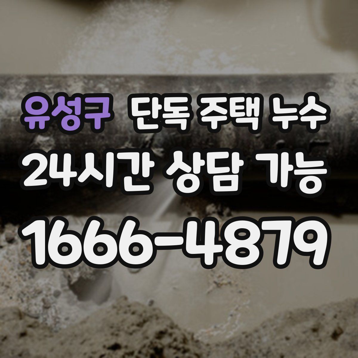 유성구 단독 주택 누수