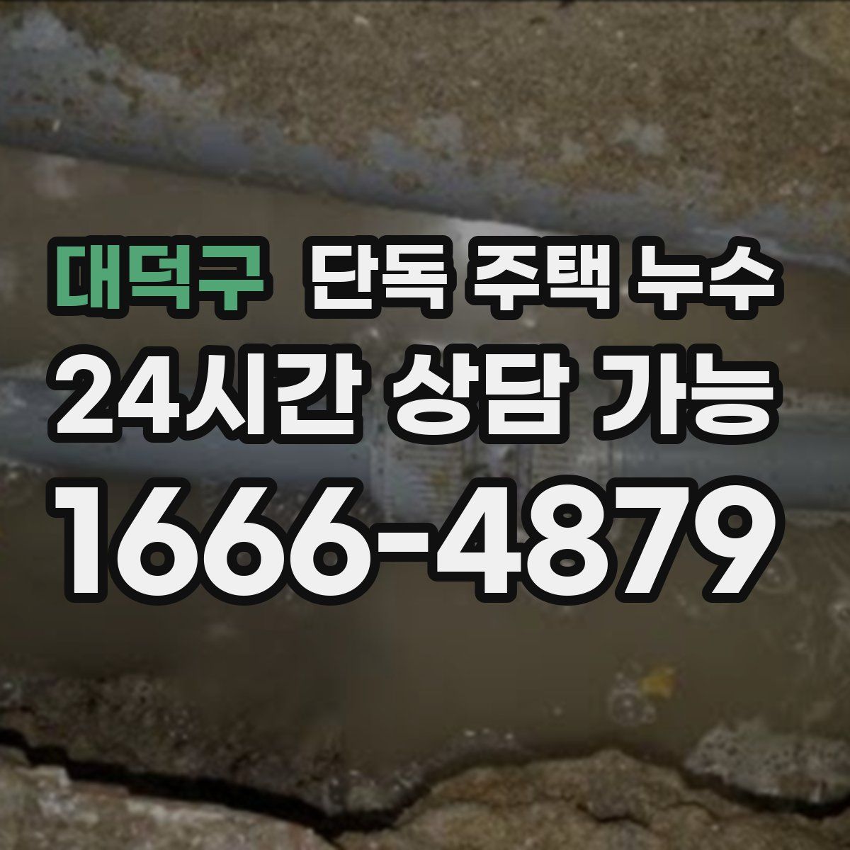 대덕구 단독 주택 누수