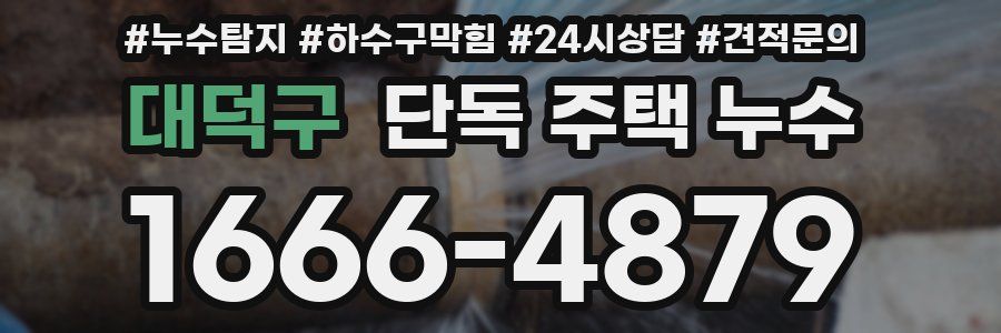 대덕구 단독 주택 누수