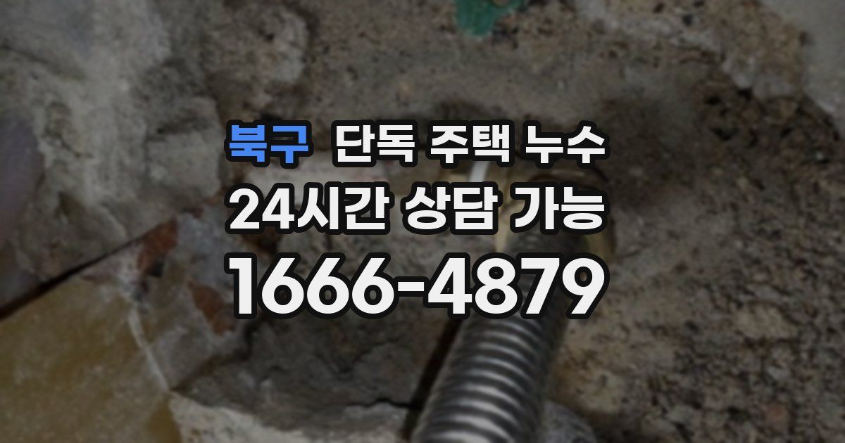 북구 단독 주택 누수