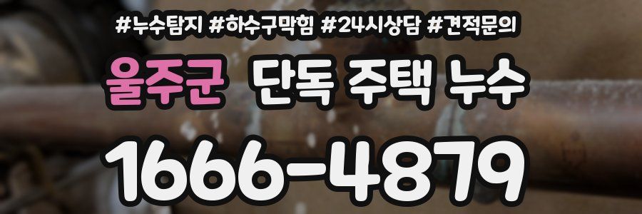 울주군 단독 주택 누수