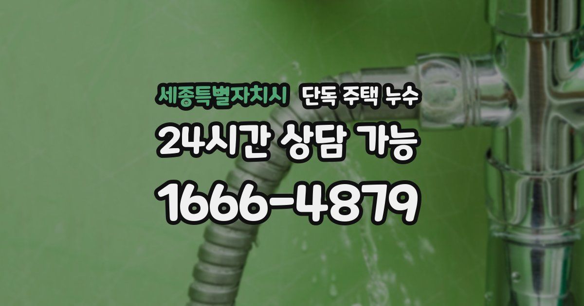 세종특별자치시 단독 주택 누수