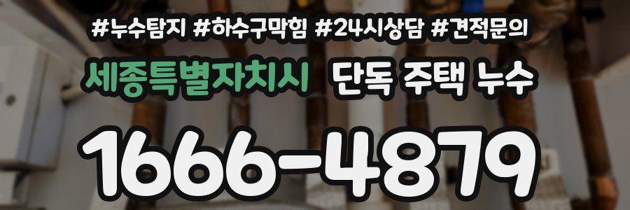 세종특별자치시 단독 주택 누수