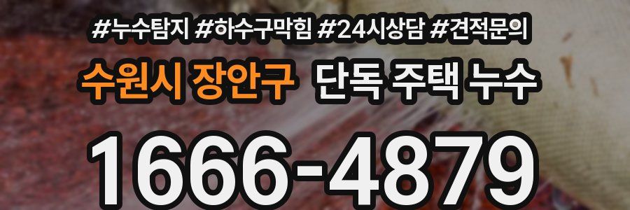 수원시 장안구 단독 주택 누수