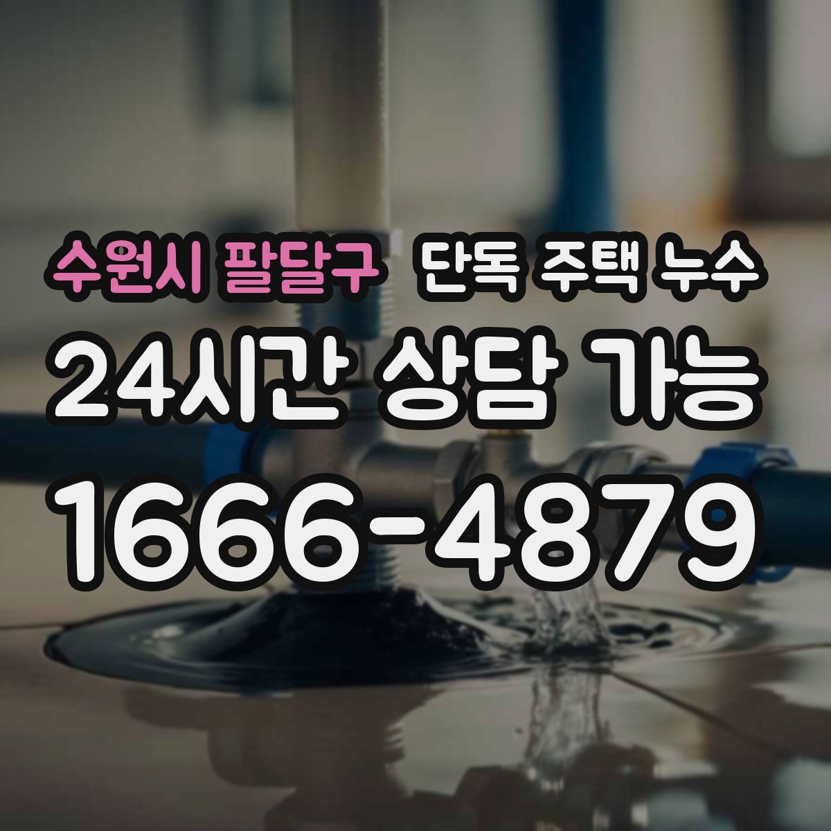 수원시 팔달구 단독 주택 누수