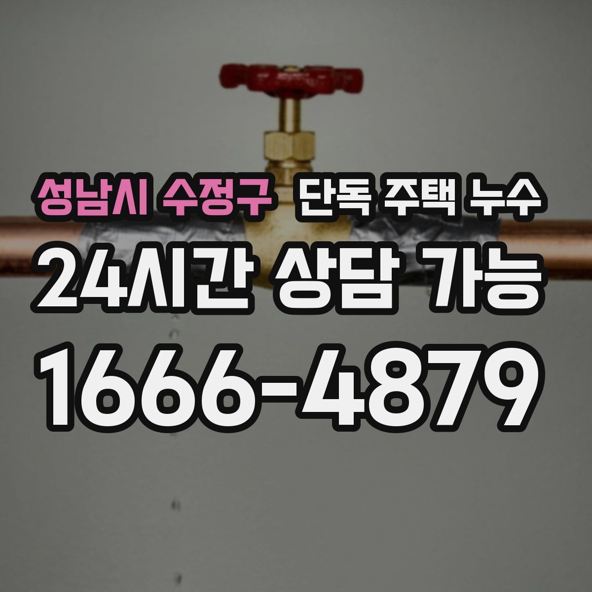 성남시 수정구 단독 주택 누수