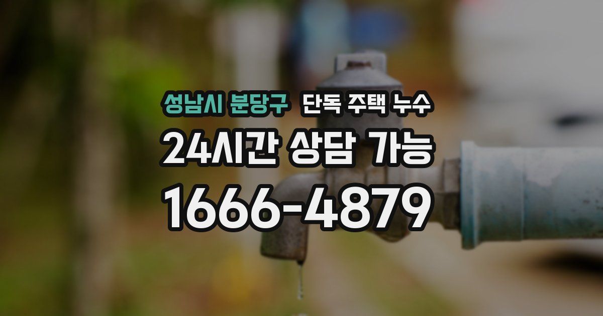 성남시 분당구 단독 주택 누수