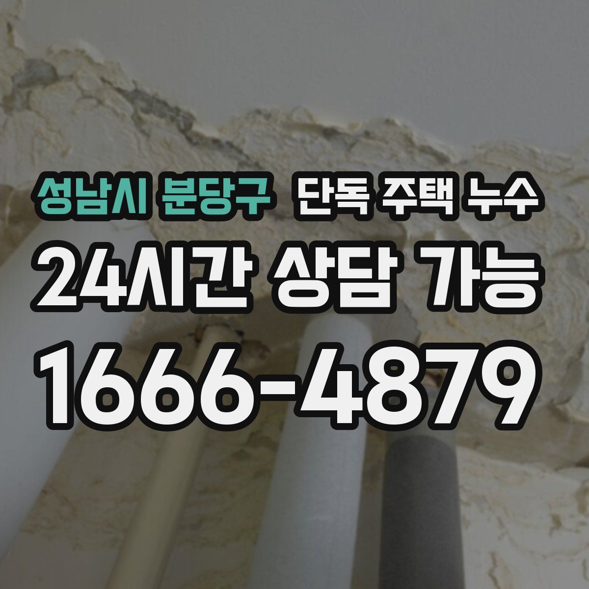 성남시 분당구 단독 주택 누수