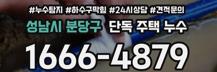 성남시 분당구 단독 주택 누수