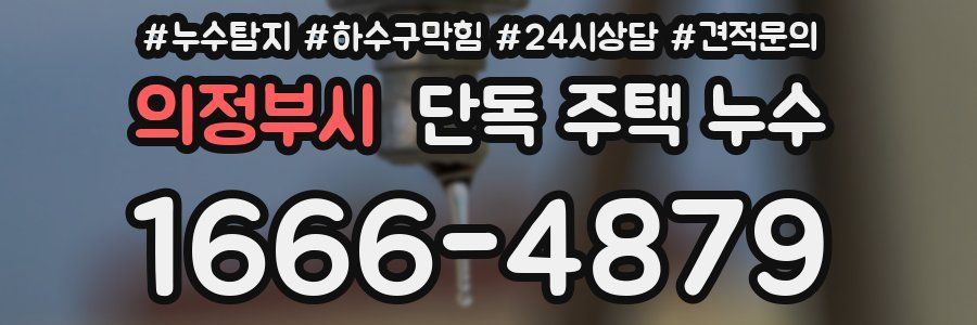 의정부시 단독 주택 누수