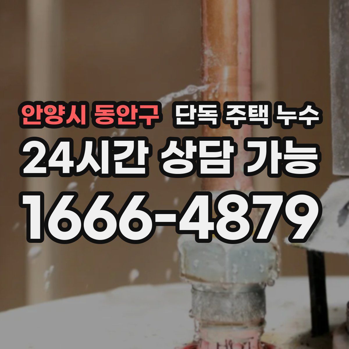 안양시 동안구 단독 주택 누수